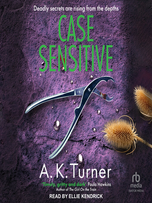 Title details for Case Sensitive by A.K. Turner - Wait list